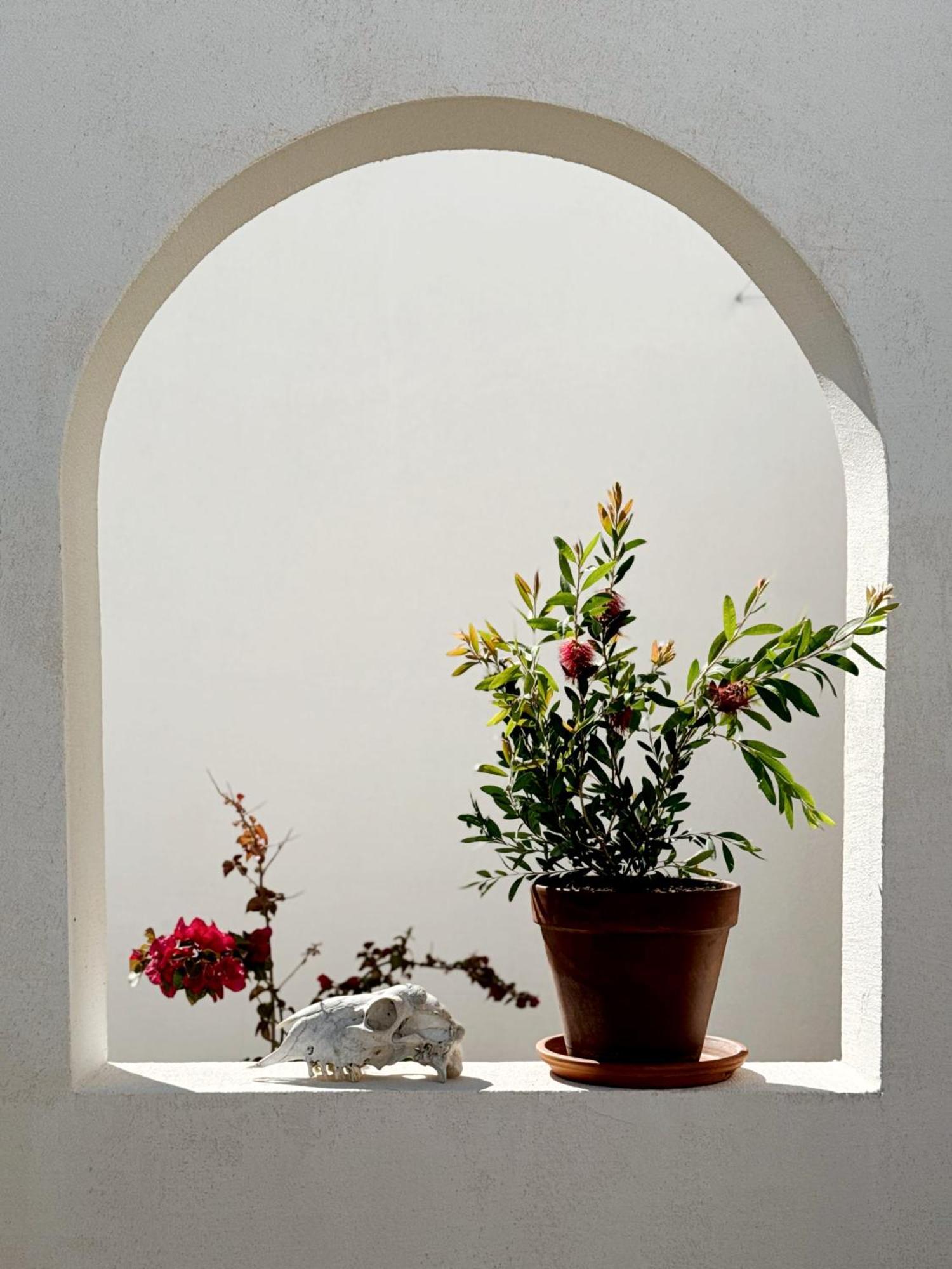 Sol Melba Boutique Studios - 马斯林尼察 外观 照片